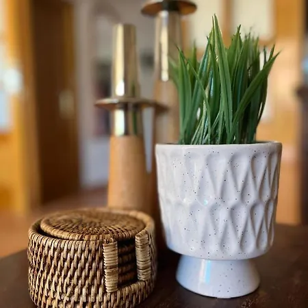 Casa Riu Verd Semesterbostad *